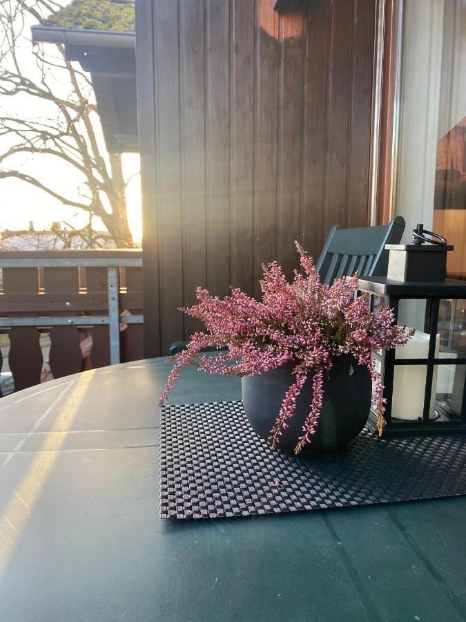 Apartment Am Park Bad Lauterberg Ngoại thất bức ảnh